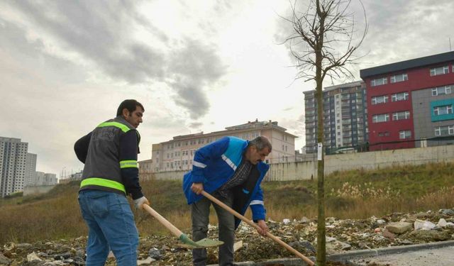 Esenyurt’un sokakları ağaçlarla süsleniyor