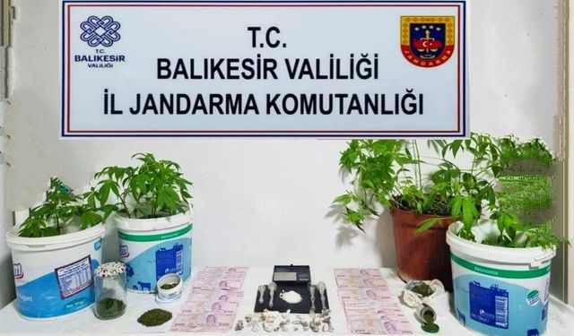 Jandarma’dan 6 ilçede uyuşturucu operasyonu