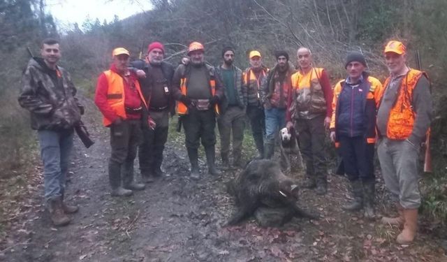 Kastamonu’da su borusunu tamir ederken domuzun saldırdığı adam ağır yaralandı