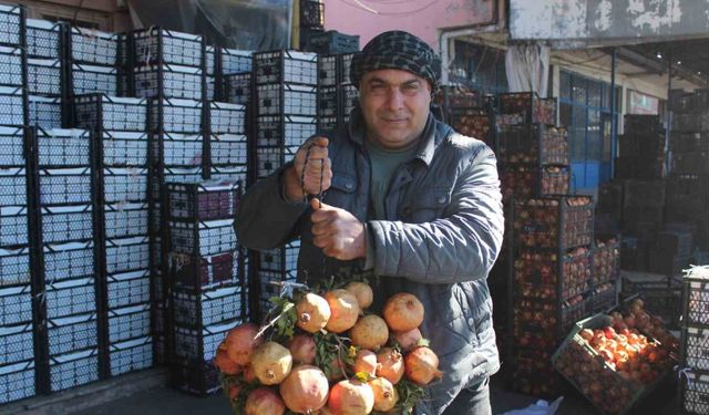 Kendine has lezzetiyle bilinen "Zivzik" narı kilosu 30 liradan satılıyor