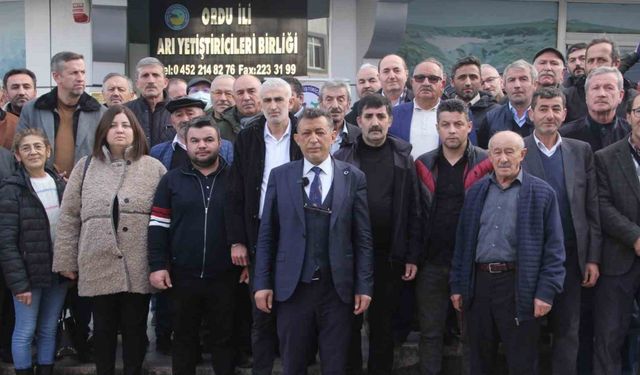 Mustafa Yılmaz, Ordu Arıcılar Birliği’ne adaylığını açıkladı