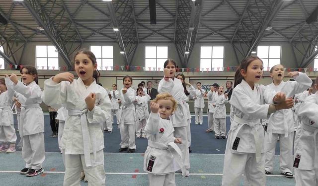 Osmangazi’de karate eğitim semineri