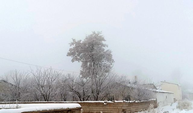 Özalp dondu, ağaçlar kırağı tuttu