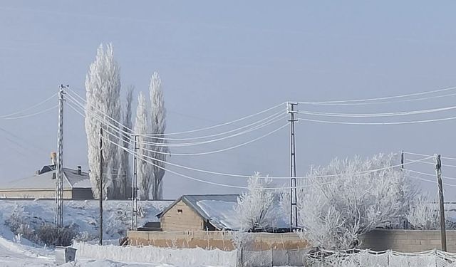 Özalp ve Saray buz kesti, ağaçlar kırağı tuttu