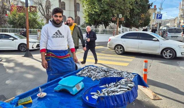 Tekirdağ’da hamsi ve istavrit 100 lira