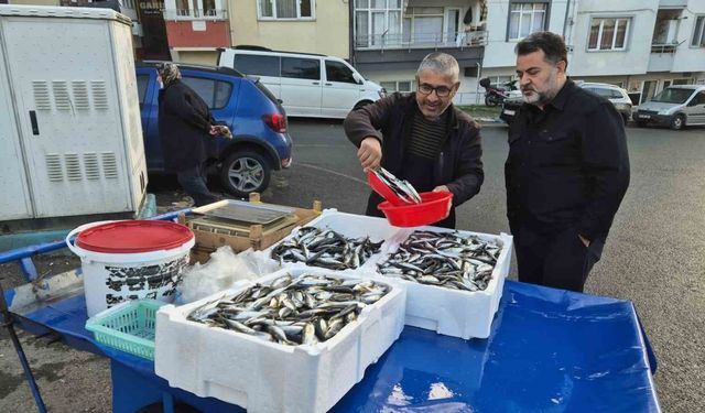 Tekirdağ’da seyyar tezgahlarda istavritin kilosu 150 liraya satılıyor