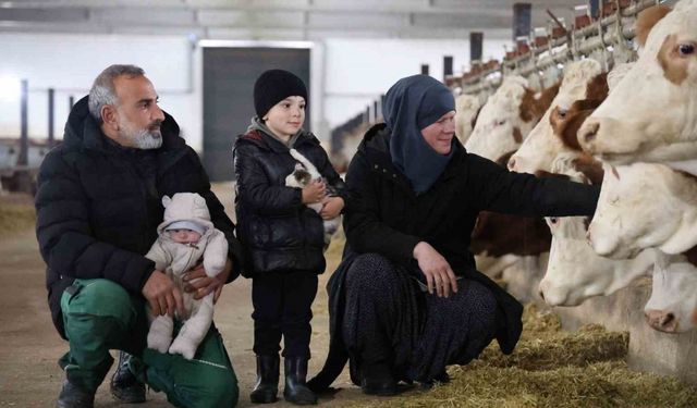 TKDK’dan aldığı destekle ülkesine dönüp çiftlik kurdu, 432 ton süt üretiyor