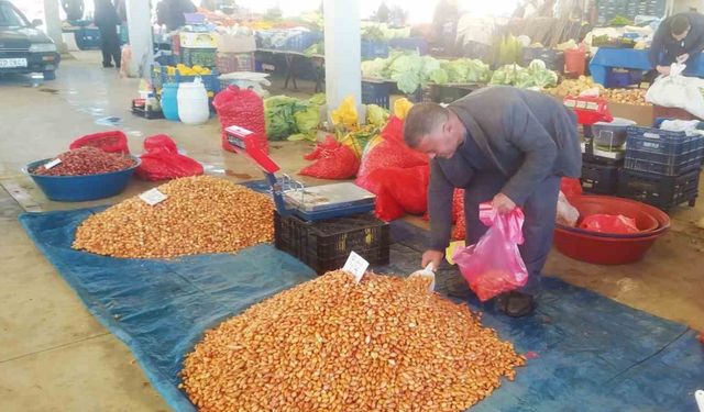 Tohumluk kuru soğanın fiyatı cep yakıyor