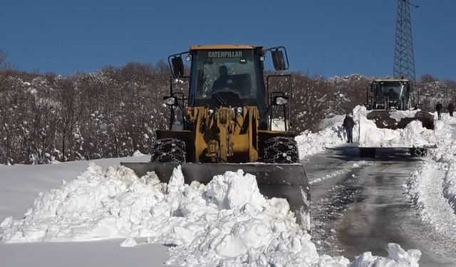 Varto’da 11 köy yolu ulaşıma kapandı