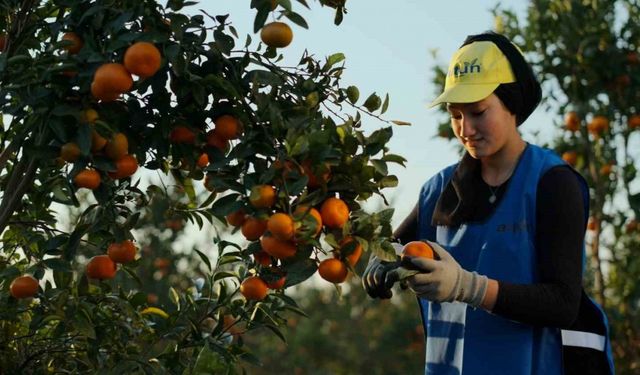 Yaş meyve ve sebze ihracat rekortmeni Altun’dan halka arz başvurusu