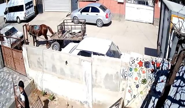 At arabasıyla geldi, demir korkuluğu alarak kayıplara karıştı