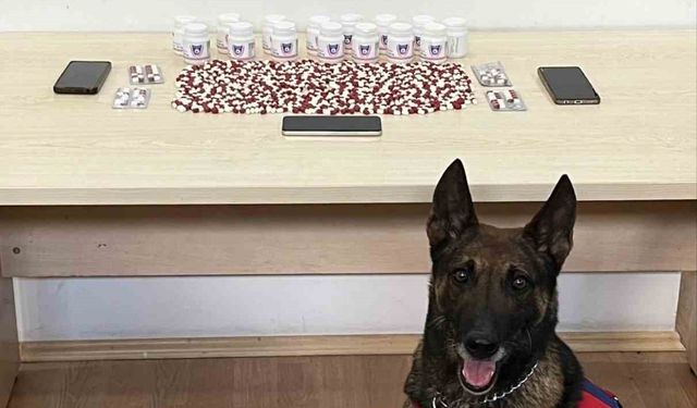 Binlerce uyuşturucu hapla yakalanan 2 şüpheli tutuklandı