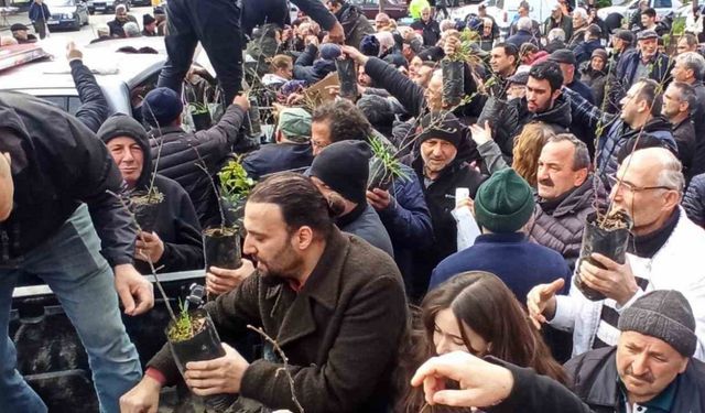 Devrek Orman İşletme Müdürlüğü fidan dağıtımında bullundu
