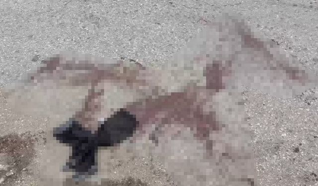Komşu iki esnaf sopalar ile birbirine girdi: 7 yaralı
