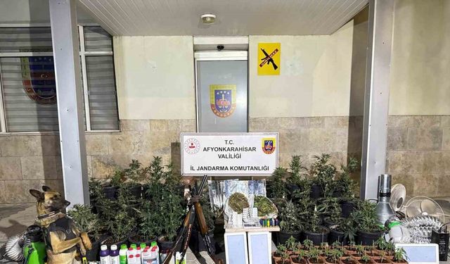Kenevir yetiştiren şahıslar esrar ve uyuşturucu haplarla yakalandı