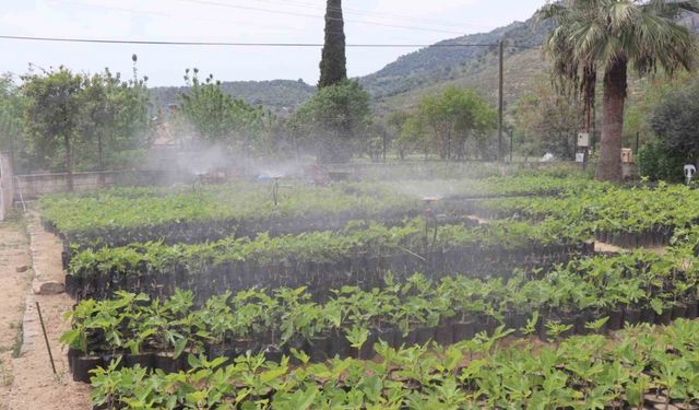 Nazilli Belediyesi’nden doğaya nefes: 18 bin fidan toprakla buluşacak
