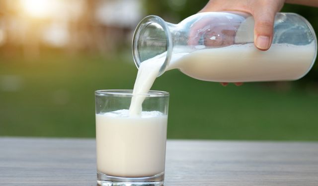 Dünya Süt Günü'ne özel uzmanından tavsiyeler