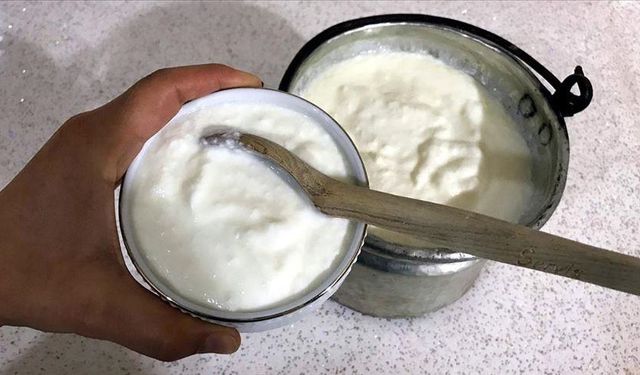 Yoğurt ve kefirin sağlığa olan faydaları