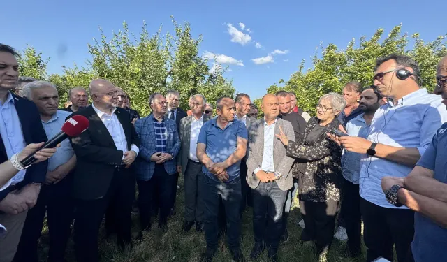 Zirai Don Araştırması İçin Sakarya Bahçelerinde İnceleme