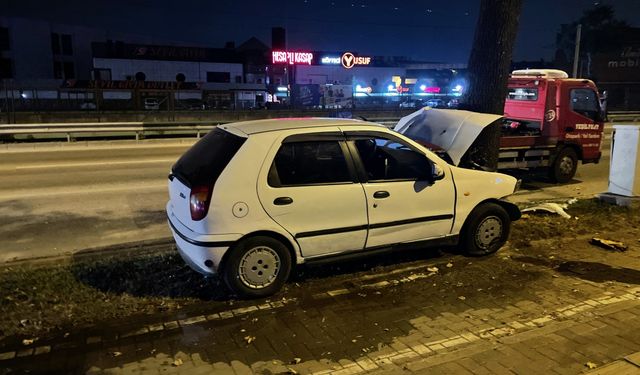 Bursa'da ağaca çarpan otomobildeki 2 kişi yaralandı