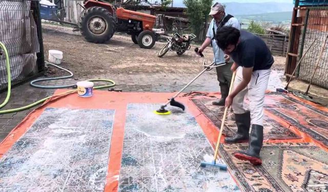 Amasyalı çiftçi halılarını tırpanla yıkadı: "Halı yıkamada çığır açtık"