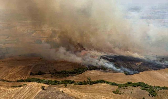 Balıkesir Kepsut’ta arazi yangını
