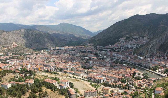 Kahverengi kokarca yayılıyor: Amasya’da da tespit edildi