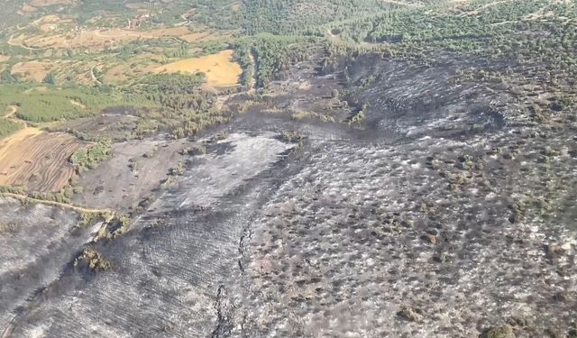 Kepsut’taki orman yangınları kontrol altına alındı