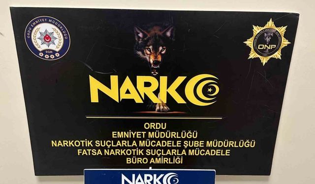 Ordu’da uyuşturucu operasyonlarında 1 tutuklama