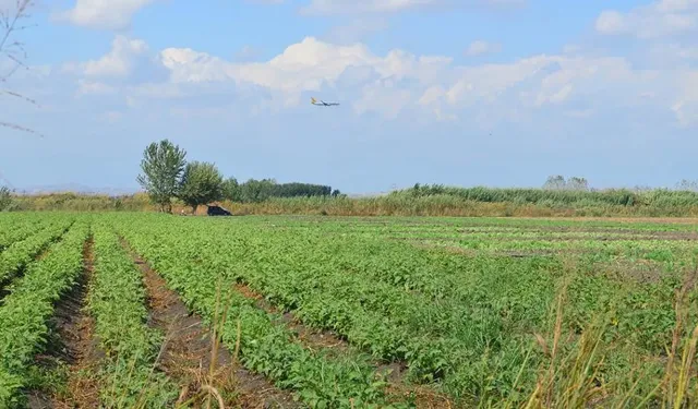 Karasu'da Merkezi Konumda Yatırımlık Arsa