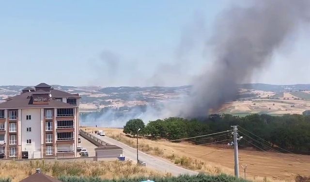 Bursa’da korkutan anız yangını