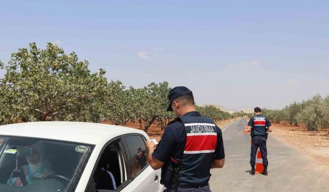 Fıstık hırsızlığına karşı jandarmadan sıkı denetim
