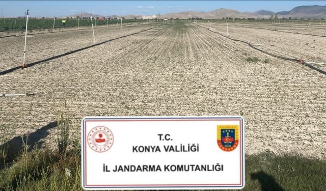 Konya’da jandarmadan uyuşturucu operasyonları