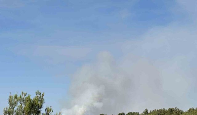 Uşak’ta tarım arazisinde çıkan yangın ormanlık alana sıçradı