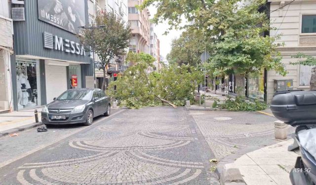 Bandırma’da gece yarısı fırtına: Ağaçlar devrildi, araçlar zarar gördü