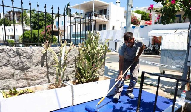 Bodrum sokakları mavi ve beyaza boyanıyor
