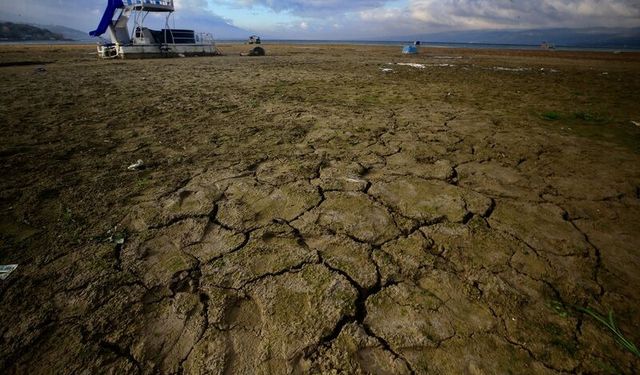 Sapanca Gölü'ndeki su çekilmesi domino etkisiyle biyoçeşitliliği baskı altına alıyor