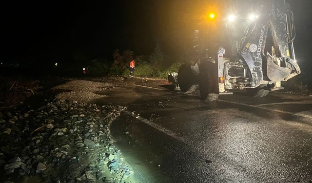 Bilecik'te sağanak hayatı olumsuz etkiledi
