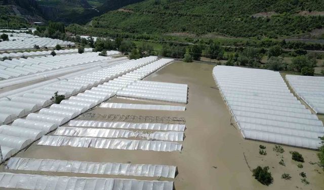 Amasya'da Yeşilırmak Nehri taştı, tarım arazileri sular altında kaldı