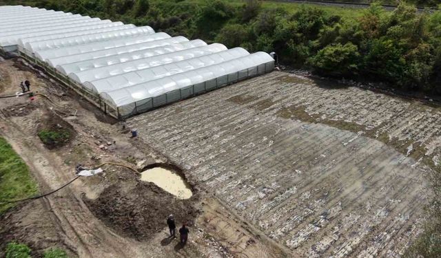 Çiftçinin taşkın nöbeti: Arazisindeki bitkiler Yeşilırmak'tan sızan suyun altında kaldı
