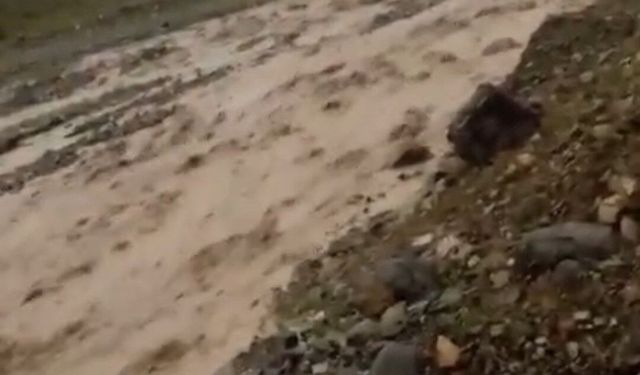 Elazığ'da sağanak sonrası sel
