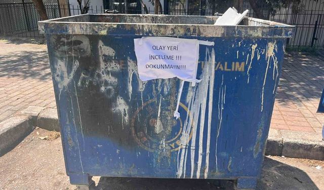 İzmir'de çöpte 33 ölü kedi bulunmasıyla ilgili bir veteriner gözaltına alındı