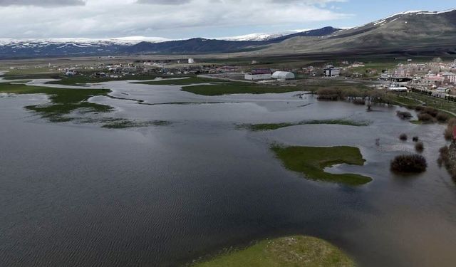 Kura Nehri taştı, tarım arazileri sular altında kaldı