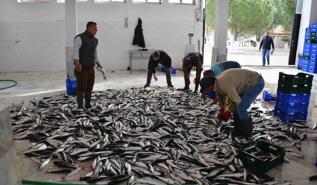 Muğla'nın Nisan ayı ihracatı 108 Milyon doları aştı