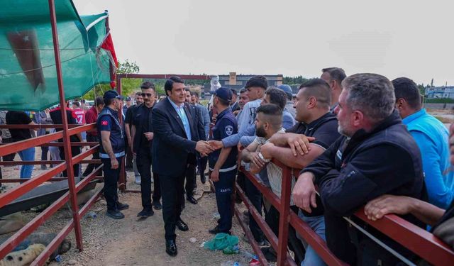 Şehitkamil'de Kurban Bayramı hazırlıkları tamamlandı