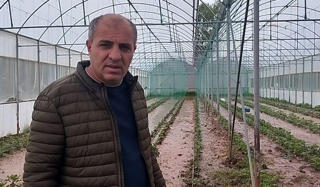 Sivas'ta dere taştı: Sera ve bahçeler sular altında kaldı