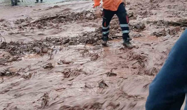 Artvin'de sağanak sonrası dereler taştı