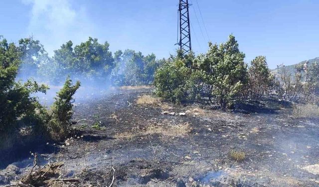 Bingöl'de çıkan orman yangını büyümeden kontrol altına alındı