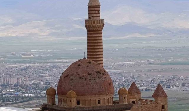 İshakpaşa Sarayı'nın kubbesindeki otlar ziyaretçilerin dikkatini çekti