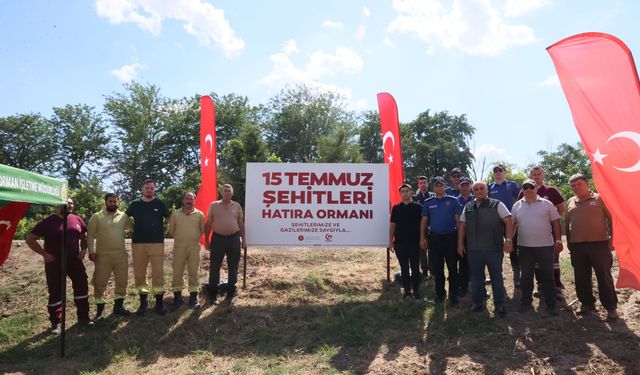 15 Temmuz Şehitleri Hatıra Ormanı'nda bakım yapıldı